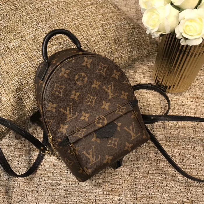  Louis Vuitton 루이비통 팜스프링 미니 백팩 M44873