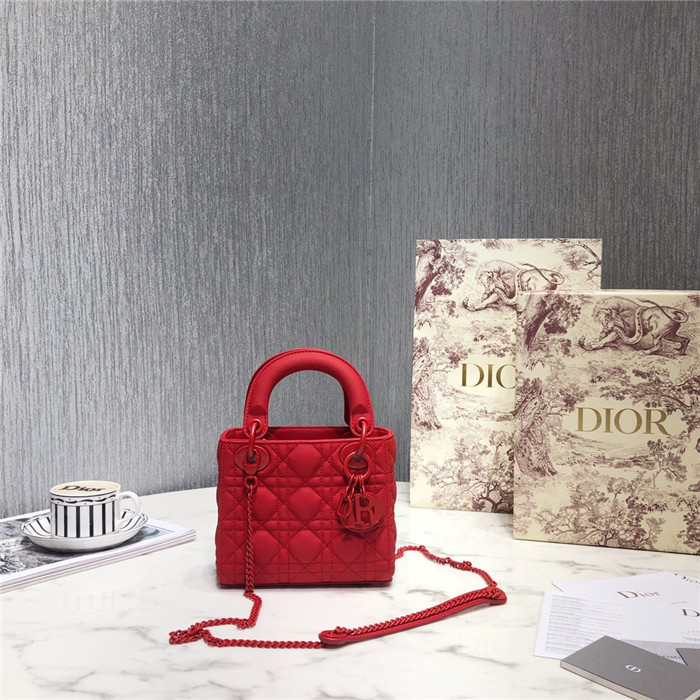 Dior  디올 레이디 17CM D0560