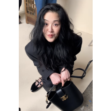 [배우 고현정] CELINE 셀린느 스몰 루이즈백 119173 2COLOR