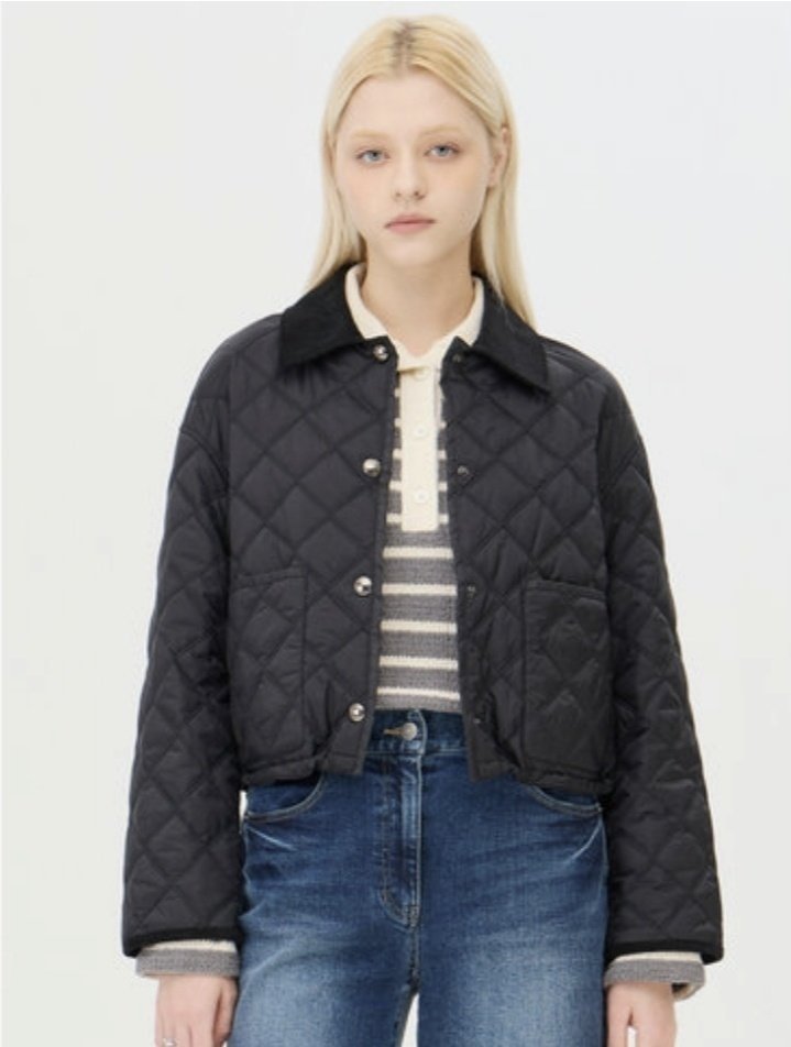 MONCLER 몽클레어 치트레 패딩 3COLOR