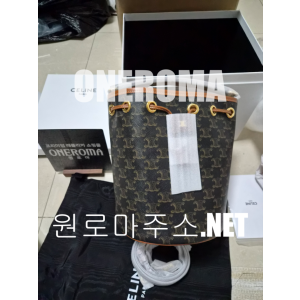 셀린느 클라라 백 트리옹프 캔버스